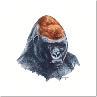 Gorilla Posters and Art